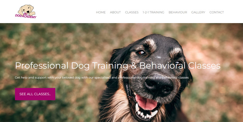 Screenshot of AC Dog Academy website homepage