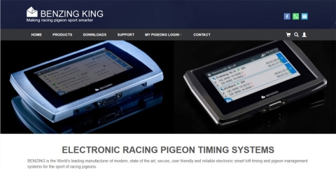 Screenshot of the Benzing King website homepage